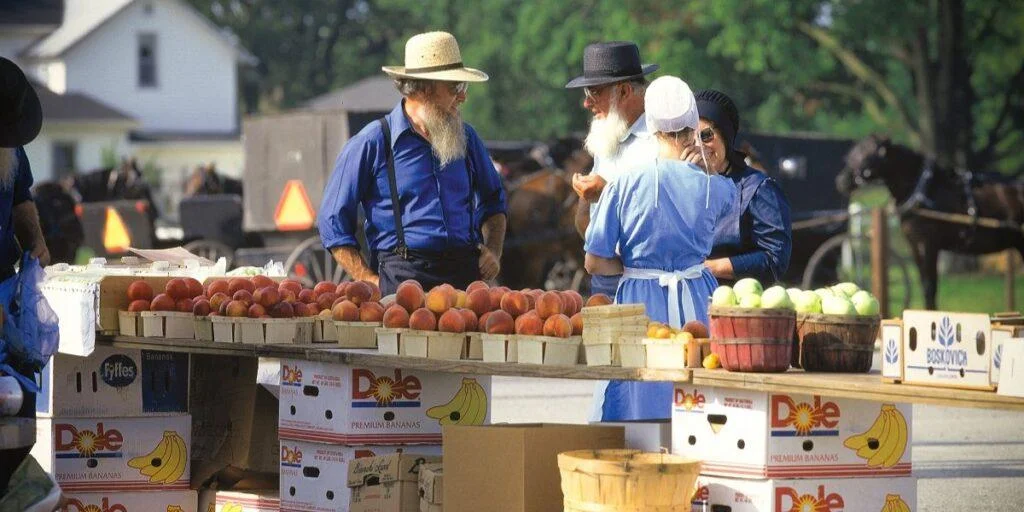 local shops and markets for amish