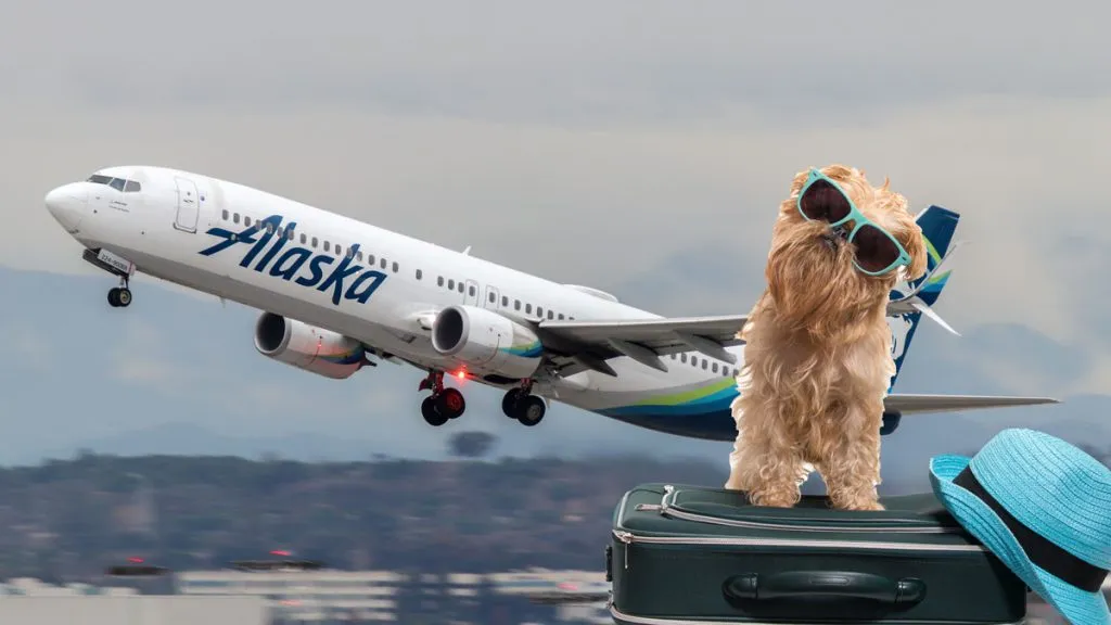 Alaska Airlines Pet Policy